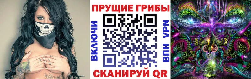 магазин наркотиков Оха Галлюциногенные грибы Psilocybine cubensis